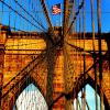 Golden Bricks
Brooklyn Bridge