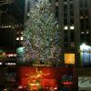 Christmas Tree
Rockefeller Center