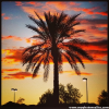 Suburban Sunset
Ahwatukee, AZ