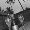 Champagne Bubbles
Moorea, Tahiti
