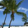 Private Island Retreat
Nassau, Bahamas
